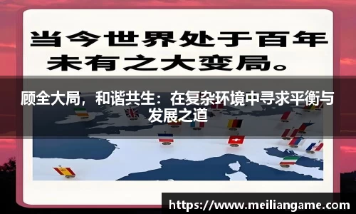 顾全大局，和谐共生：在复杂环境中寻求平衡与发展之道